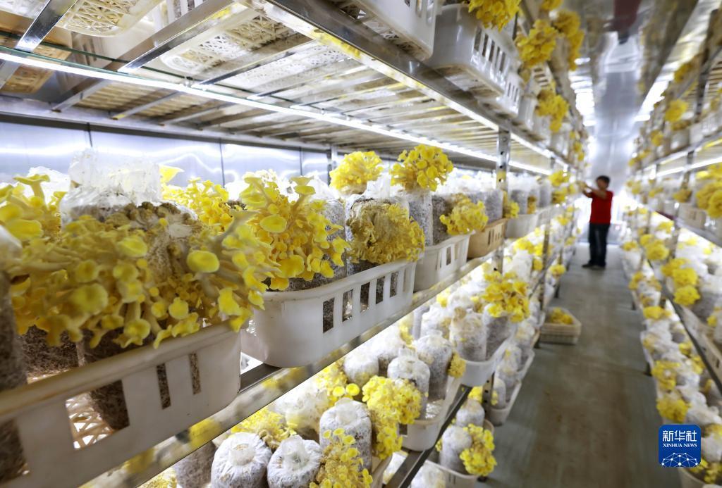 ag捕鱼游戏网